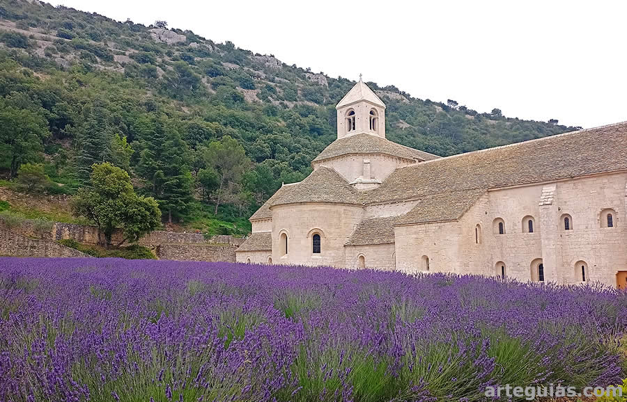 La Abadía de Sénanque y su famoso manto de lavanda