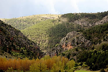 Sierra de Albarrac&iacute;n