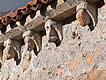 Canecillos de la Ermita de Esp&iacute;ritu Santo. Laredo