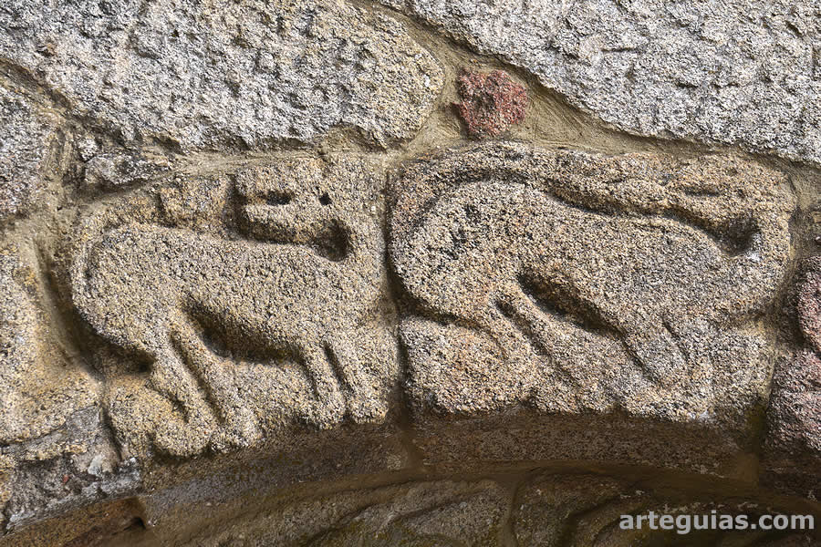 Leones esquem&aacute;ticos