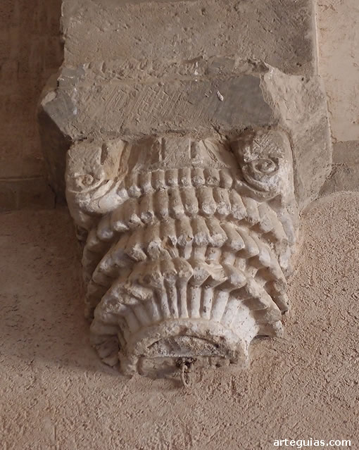 Capital de la nave
