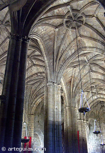 Bosque de pilares, columnas y b&oacute;vedas g&oacute;ticas en la catedral de C&aacute;ceres