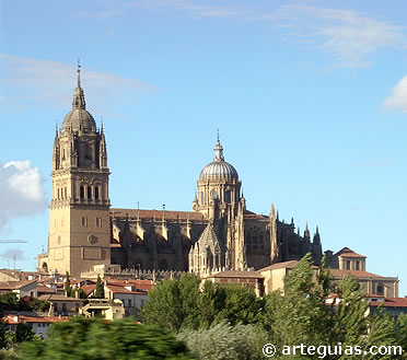 Las catedrales de Salamanca desde el sur