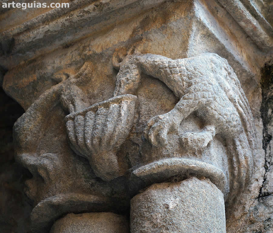 Pavos reales en el claustro