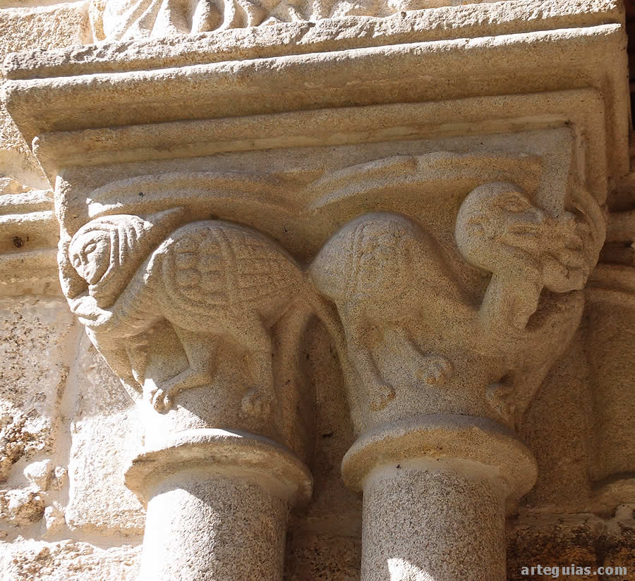 Drag&oacute;n y arp&iacute;a