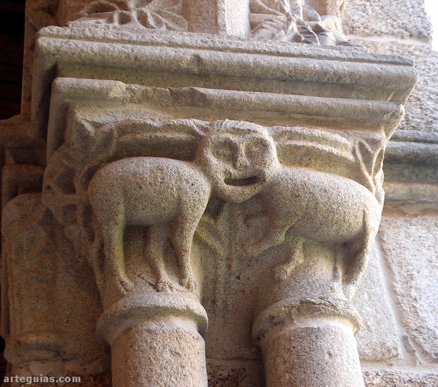 Cuadr&uacute;pedos con cabeza com&uacute;n