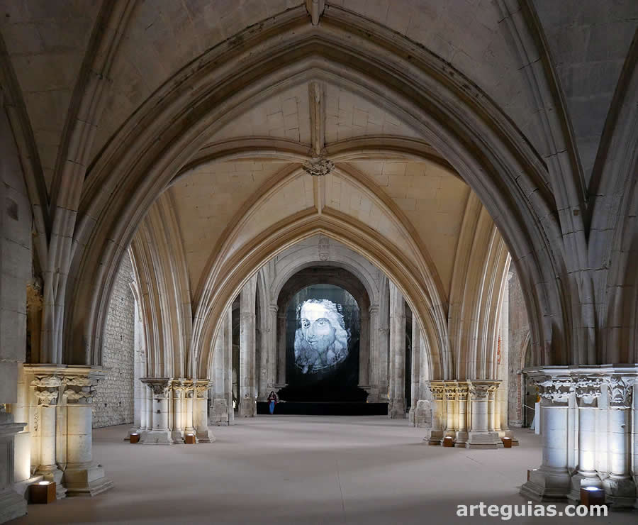 Pilares y bóvedas de crucería del coro