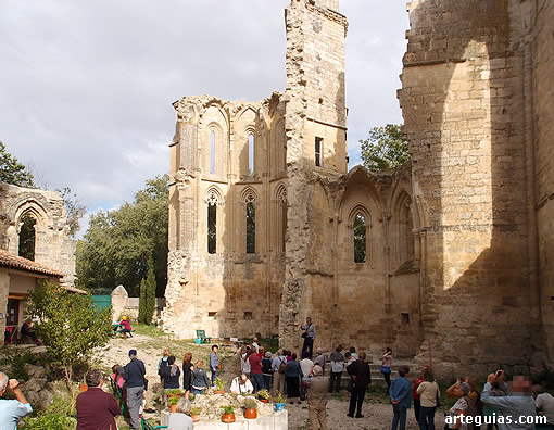Magníficas ruinas del interior de San Antón de Castrojeriz