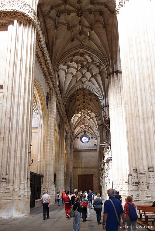 Majestuoso aspecto de la Catedral Nueva