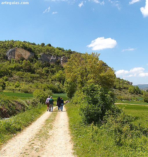 Camino hacia las Gobas de Laño