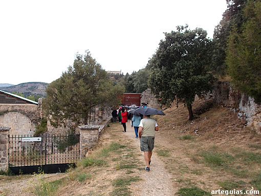 Camino de San Pedo de Arlanza