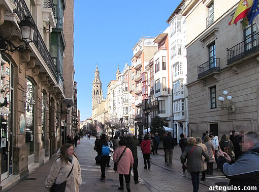 El grupo de viajeros camino de la Concatedral de Santa María La Redonda de Logroño