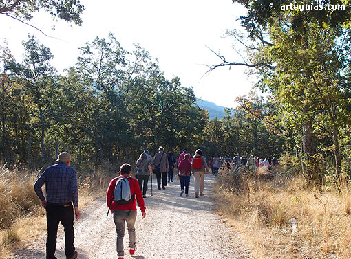 Camino serrano hacia el monasterio de Santa María de la Sierra