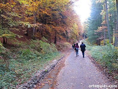Espectacular paisaje otoñal en la Senda del Cubo de Irati