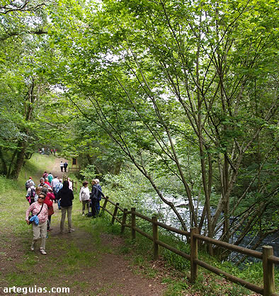 Paseo por la vera del río Deza, junto a Carboeiro