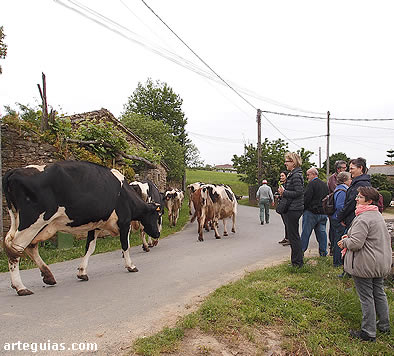 Simpática estampa rural ante la iglesia de Ansemil