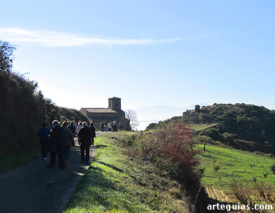 Entre vi&ntilde;edos, paseo haci la ermita de la Piscina