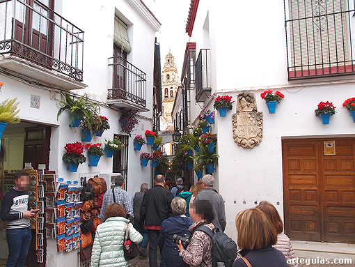 En el Callejón de las Flores