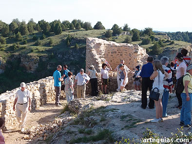El Sabinar de Calatañazor desde el castillo