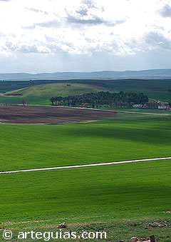 Lugar donde se desarroll&oacute; la batalla de Alarcos