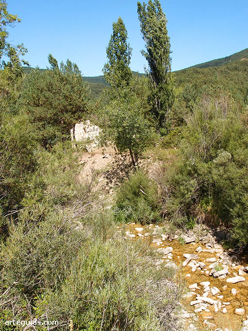Ermita de San Adrián de Sásabe y río Lubierre