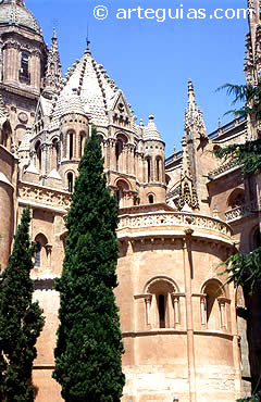 Catedral de Salamanca. Estaci&oacute;n del Camino Moz&aacute;rabe y V&iacute;a de la Plata