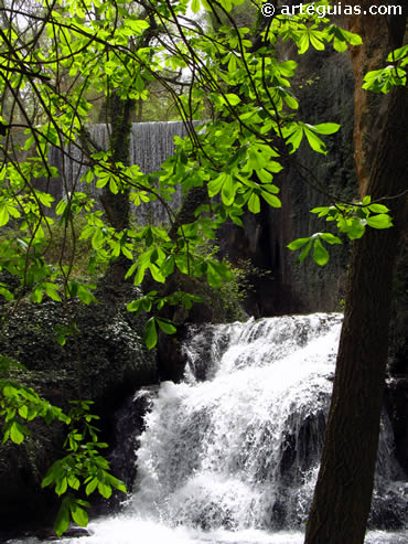 Si el Parque Natural es uno de los grandes alicientes del Monasterio de Piedra, las ruinas del  cenobio no son menos interesantes