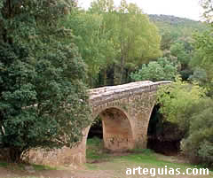 Puente de Covatillas. Segovia