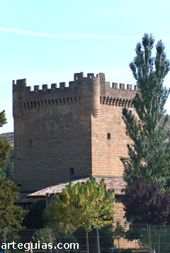 Castillo de Cuzcurrita de R&iacute;o Tir&oacute;n. La Rioja