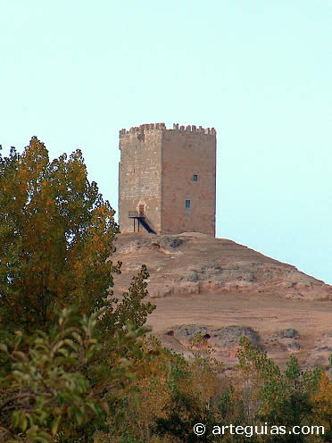 Castillo de Langa de Duero. Soria