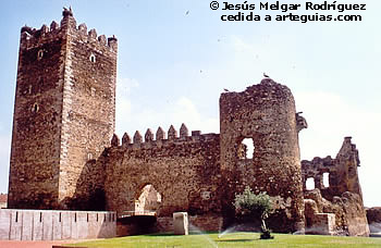Castillo de Laguna de Negrillos