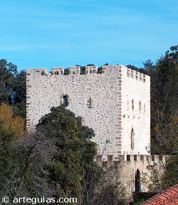 Las torres se&ntilde;oriales del norte de Espa&ntilde;a son s&iacute;mbolo del tard&iacute;o feudalismo bajomedieval en Espa&ntilde;a