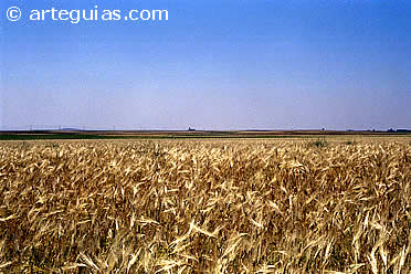 Paisaje caracter&iacute;stico de La Mora&ntilde;a. &Aacute;vila