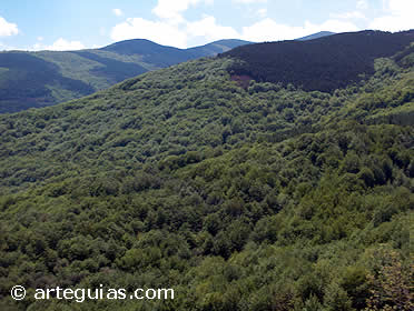 Paisaje de la Sierra de la Demanda junto al R&iacute;o Oja