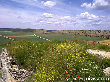 El Valle de la Sangre desde el castillo de Calata&ntilde;azor. Lugar donde legendariamente se produjo la batalla