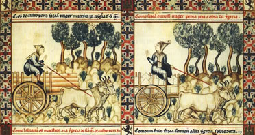 Miniatura G&oacute;tica: Cantigas