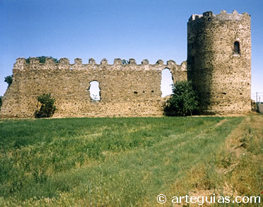 Castillo de Palacios de Valduerna, Le&oacute;n