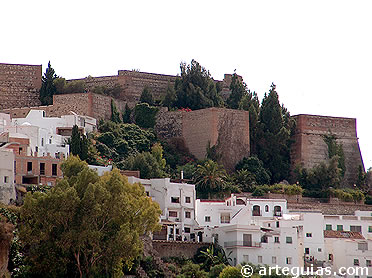 Castillo de Salobre&ntilde;a