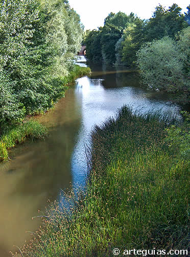R&iacute;o Arlanza