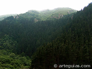 Monta&ntilde;as que rodean el Valle del Besaya