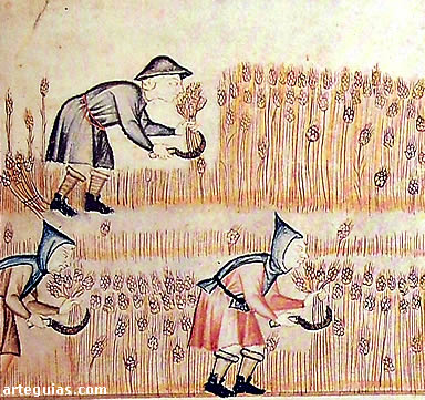 Agricultura medieva: siega de cereales