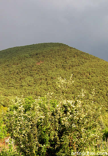 Montes que rodean la poblaci&oacute;n de Or&oacute;s Bajo