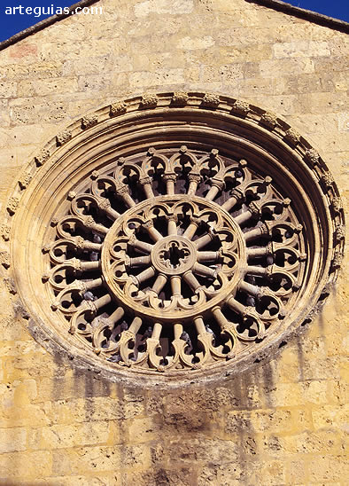 Magn&iacute;fico roset&oacute;n