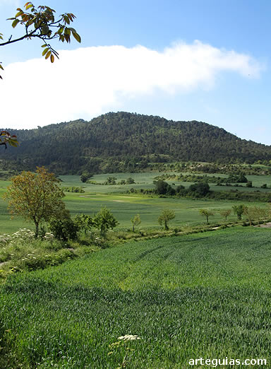 Verde paisaje de los Valles Alaveses