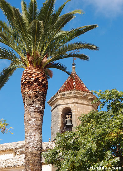 Estampa de una palmera en la Plaza del 1&ordm; de Mayo