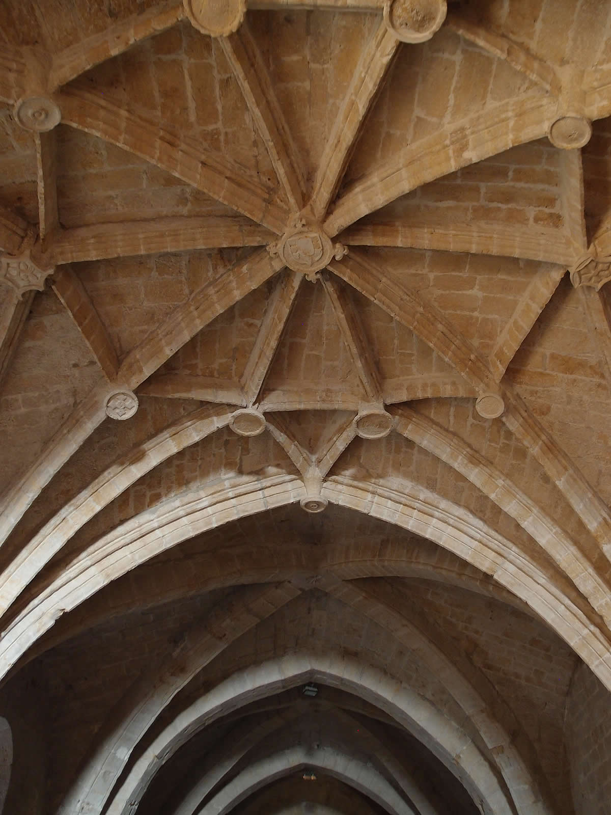 B&oacute;veda estrellada a los pies de la nave central de la iglesia de Fitero
