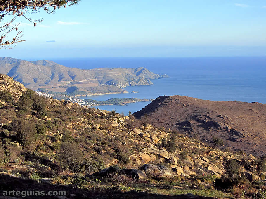 Golfo deRosas