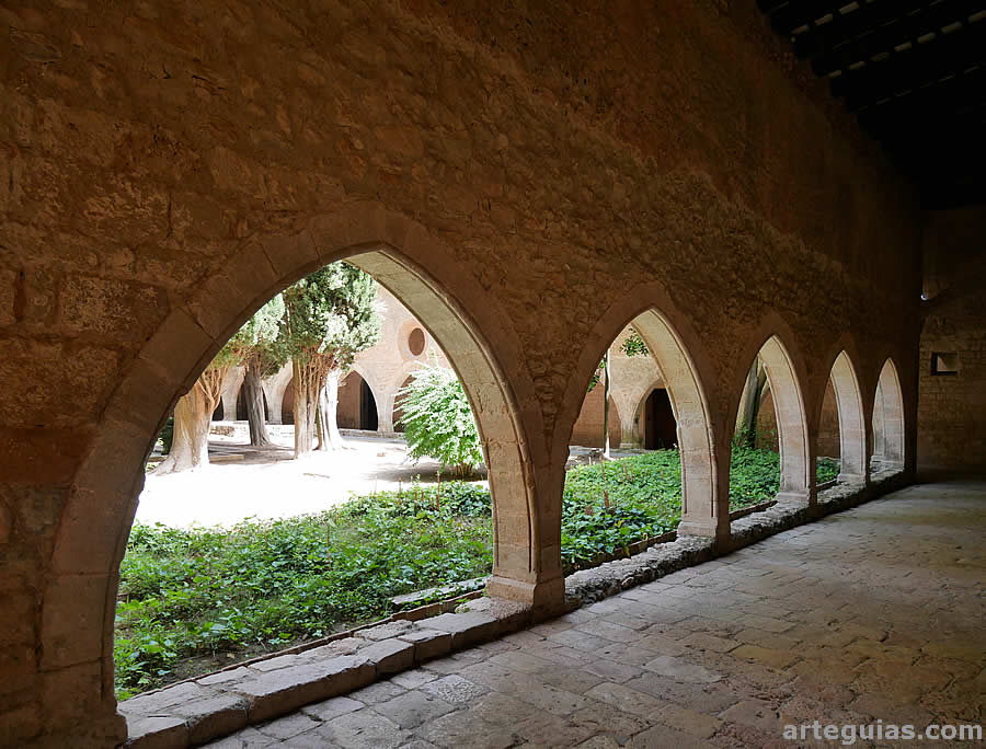 Claustro posterior