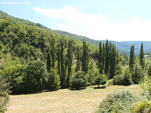 Valle del r&iacute;o Is&aacute;bena junto al Monasterio de Obarra