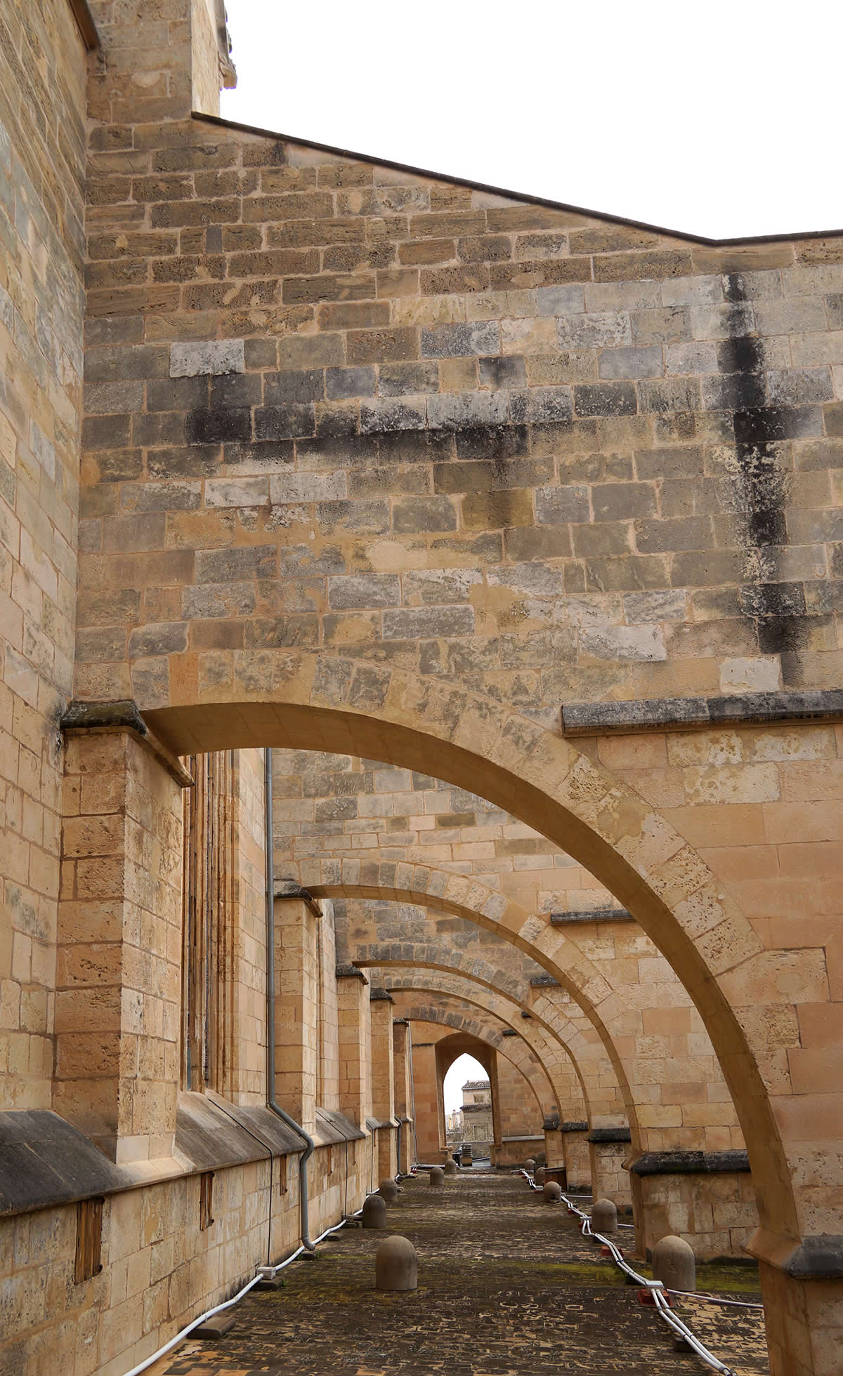 Arbotantes de Santa Eulalia de Palma de Mallorca